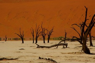 404 Namibia Okt 2006 .JPG